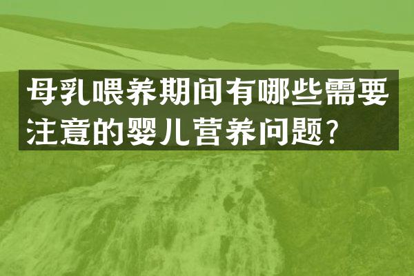 母乳喂养期间有哪些需要注意的婴儿营养问题？
