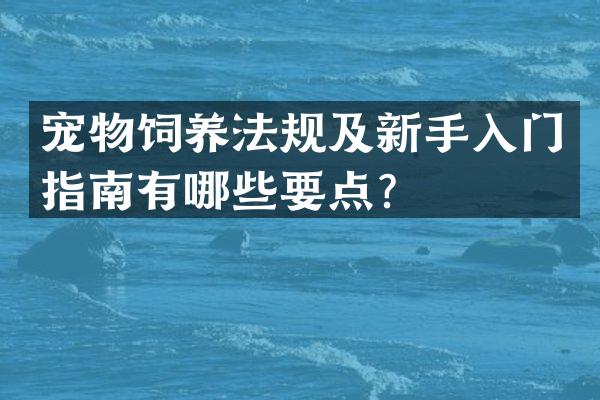 宠物饲养法规及新手入门指南有哪些要点？
