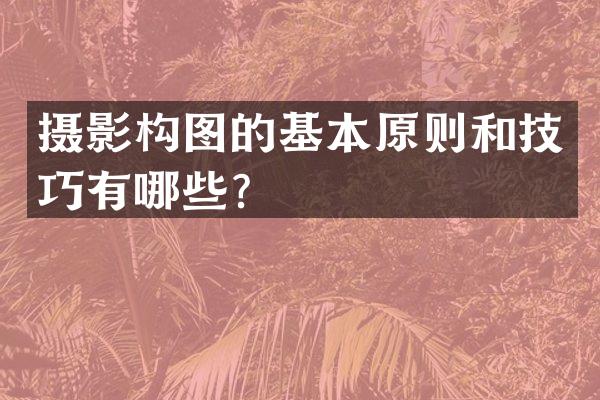 摄影构图的基本原则和技巧有哪些？