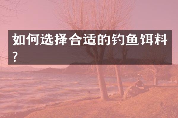如何选择合适的钓鱼饵料？