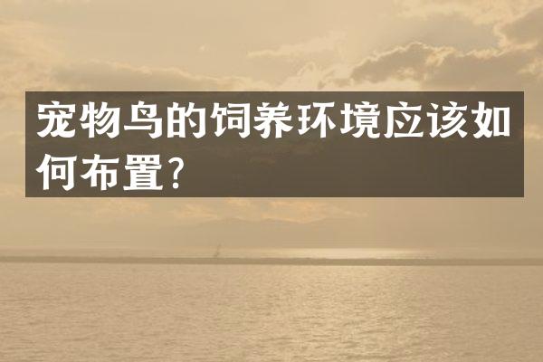 宠物鸟的饲养环境应该如何布置？