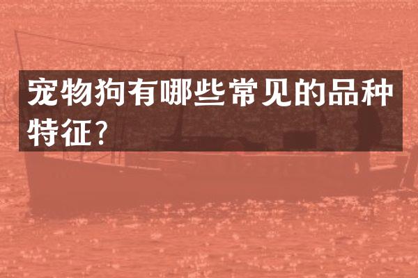 宠物狗有哪些常见的品种特征？