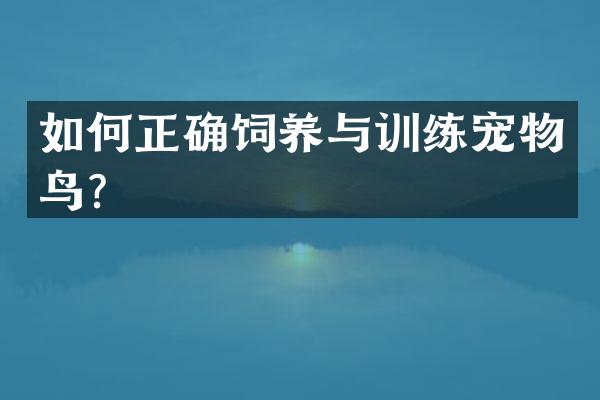 如何正确饲养与训练宠物鸟？