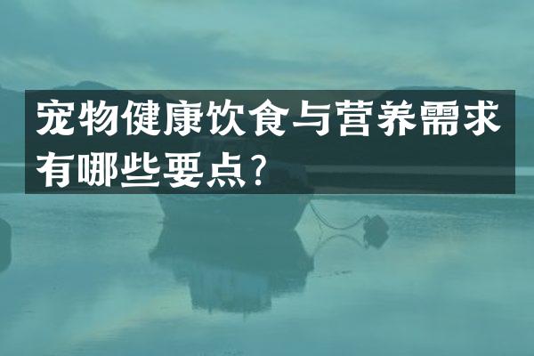 宠物健康饮食与营养需求有哪些要点？