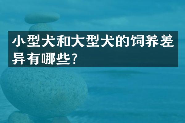 小型犬和大型犬的饲养差异有哪些？