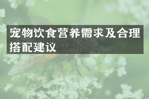 宠物饮食营养需求及合理搭配建议