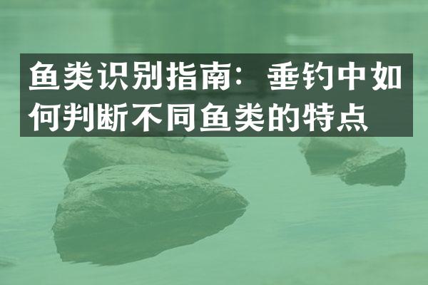 鱼类识别指南：垂钓中如何判断不同鱼类的特点？