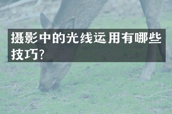 摄影中的光线运用有哪些技巧？