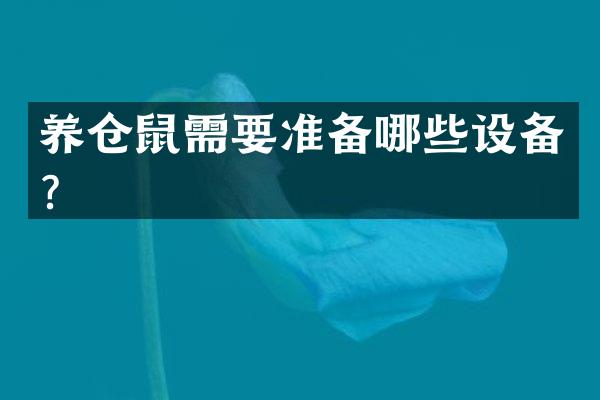 养仓鼠需要准备哪些设备？