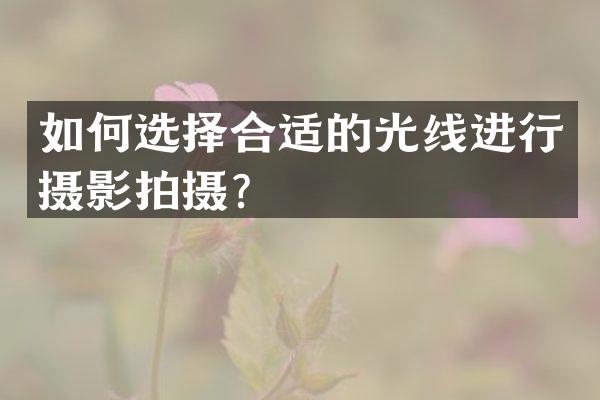 如何选择合适的光线进行摄影拍摄？