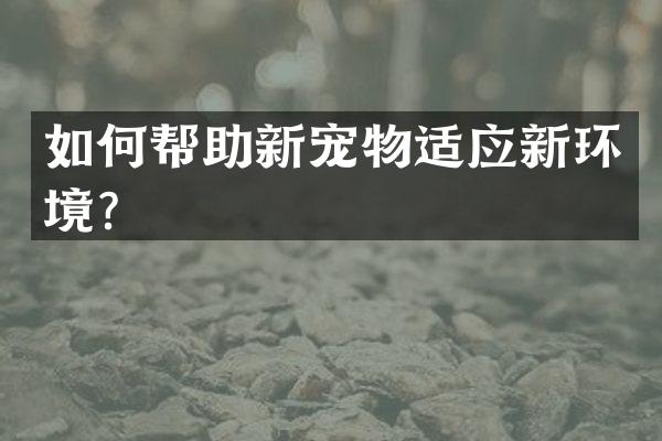 如何帮助新宠物适应新环境？