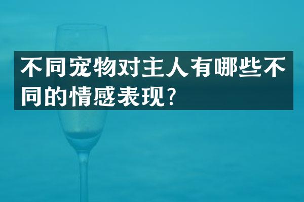 不同宠物对主人有哪些不同的情感表现？