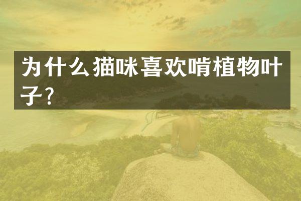 为什么猫咪喜欢啃植物叶子？