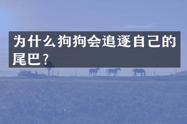 为什么狗狗会追逐自己的尾巴？