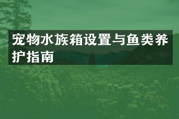 宠物水族箱设置与鱼类养护指南