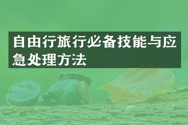 自由行旅行必备技能与应急处理方法