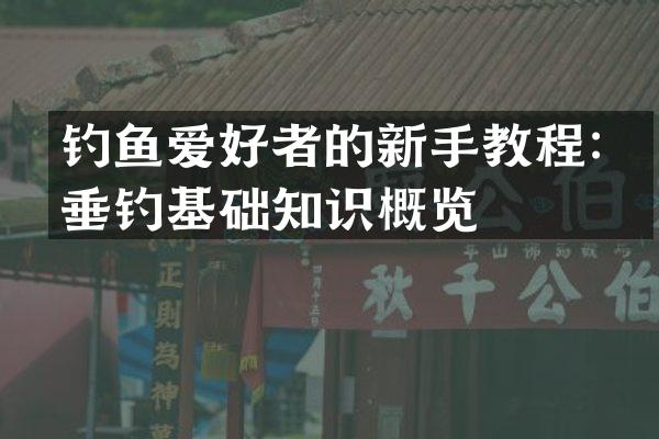 钓鱼爱好者的新手教程：垂钓基础知识概览