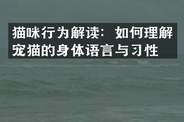 猫咪行为解读：如何理解宠猫的身体语言与习性？