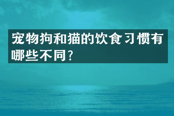 宠物狗和猫的饮食习惯有哪些不同？