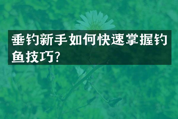垂钓新手如何快速掌握钓鱼技巧？