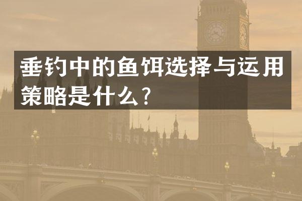 垂钓中的鱼饵选择与运用策略是什么？