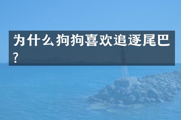 为什么狗狗喜欢追逐尾巴？