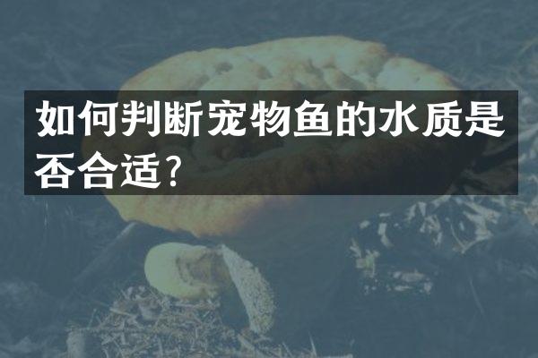 如何判断宠物鱼的水质是否合适？