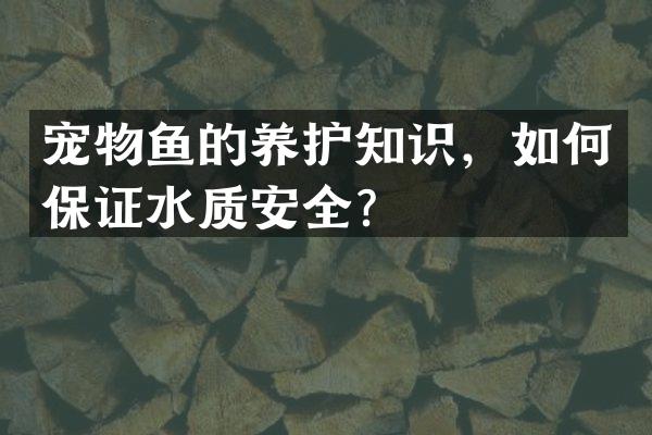 宠物鱼的养护知识，如何保证水质安全？