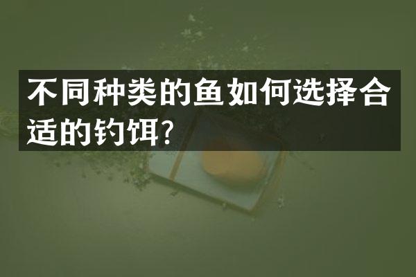 不同种类的鱼如何选择合适的钓饵？