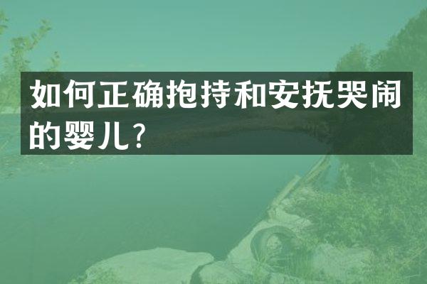 如何正确抱持和安抚哭闹的婴儿？