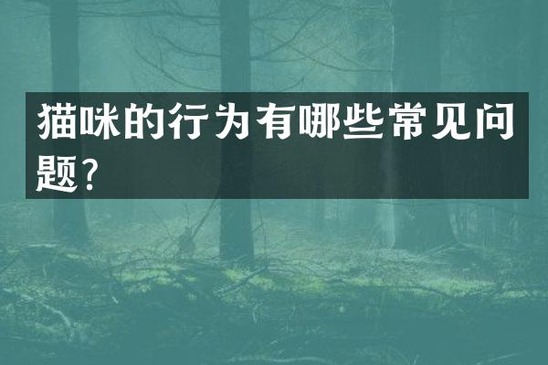 猫咪的行为有哪些常见问题？