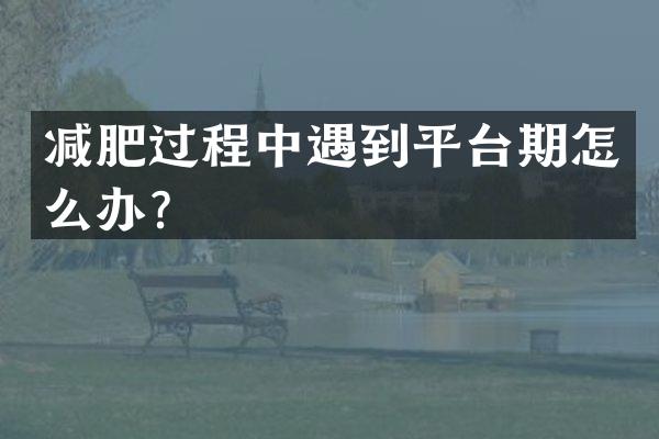 减肥过程中遇到平台期怎么办？