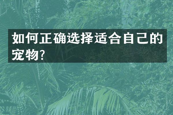 如何正确选择适合自己的宠物？