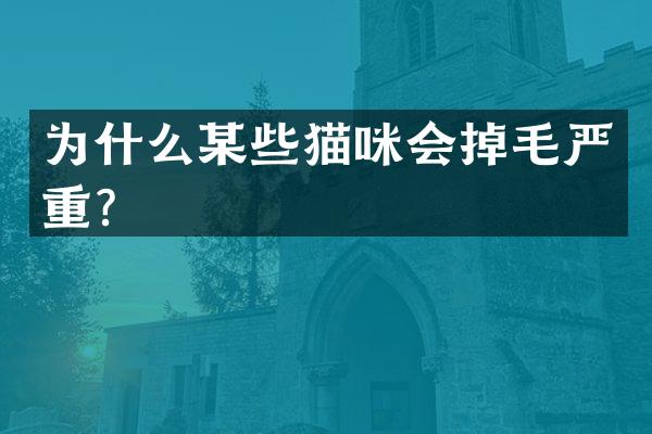 为什么某些猫咪会掉毛严重？