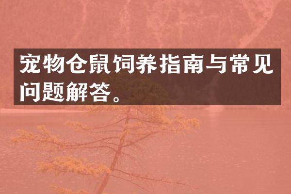 宠物仓鼠饲养指南与常见问题解答。