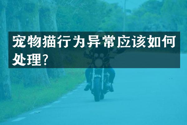宠物猫行为异常应该如何处理？