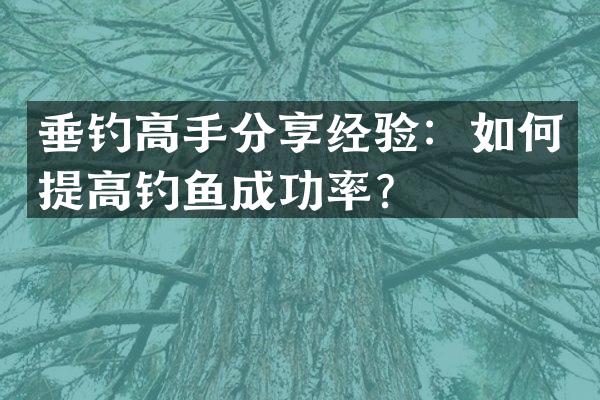 垂钓高手分享经验：如何提高钓鱼成功率？