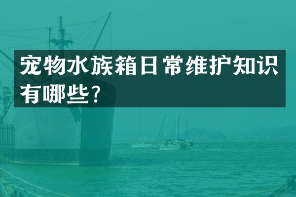 宠物水族箱日常维护知识有哪些？