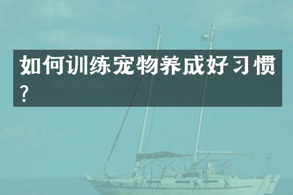 如何训练宠物养成好习惯？