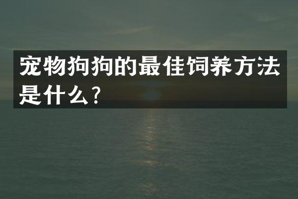 宠物狗狗的最佳饲养方法是什么？