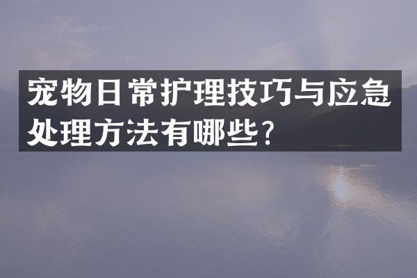 宠物日常护理技巧与应急处理方法有哪些？