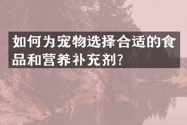 如何为宠物选择合适的食品和营养补充剂？