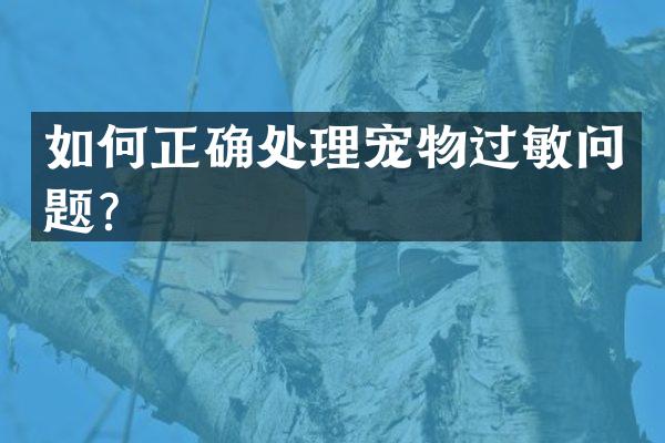 如何正确处理宠物过敏问题？