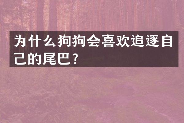 为什么狗狗会喜欢追逐自己的尾巴？