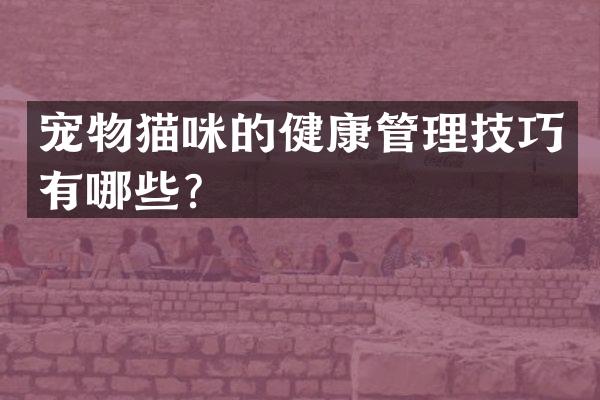 宠物猫咪的健康管理技巧有哪些？
