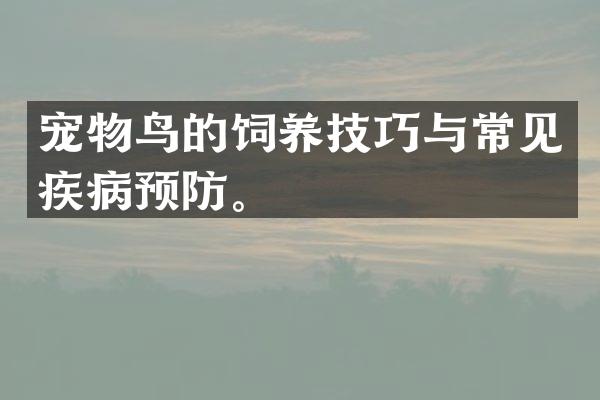 宠物鸟的饲养技巧与常见疾病预防。