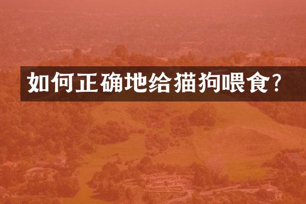 如何正确地给猫狗喂食？