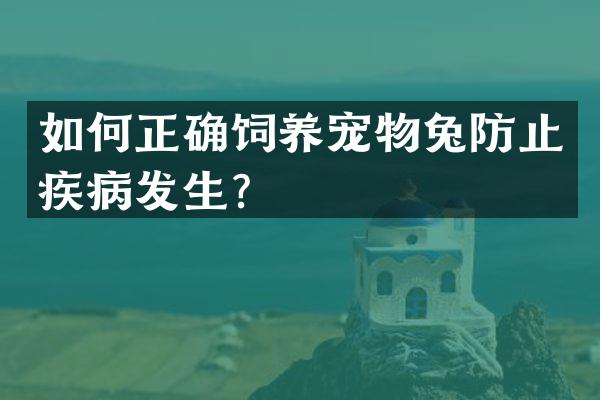 如何正确饲养宠物兔防止疾病发生？