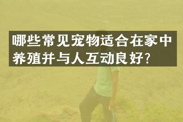 哪些常见宠物适合在家中养殖并与人互动良好？