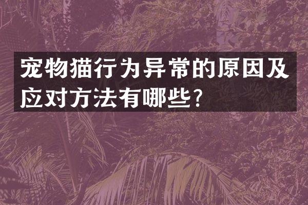 宠物猫行为异常的原因及应对方法有哪些？